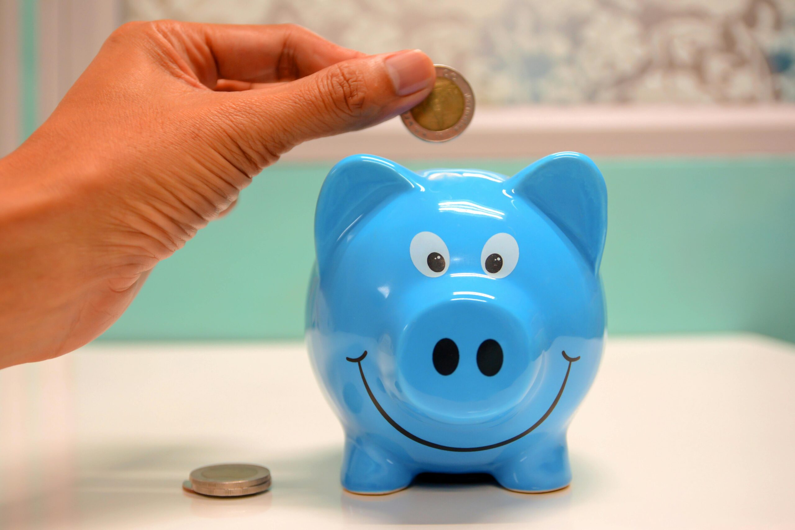 How Mutual Funds works?